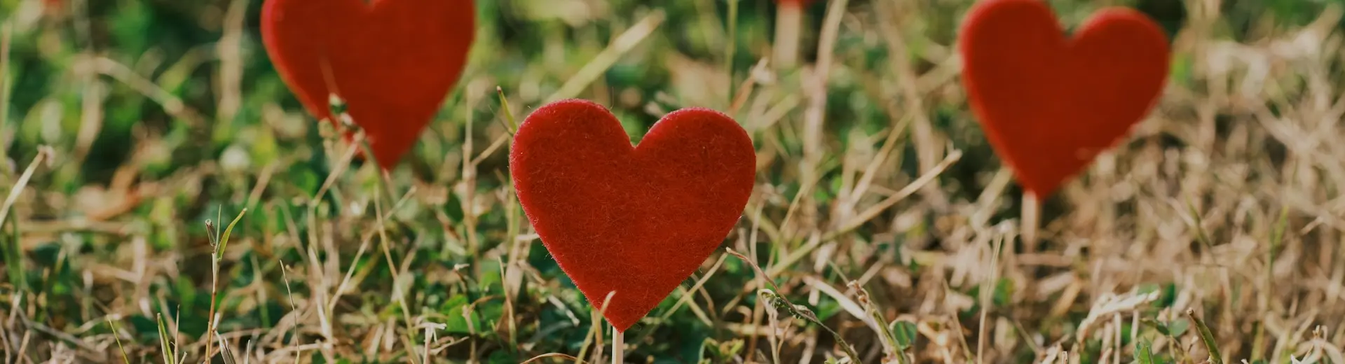 Page header background